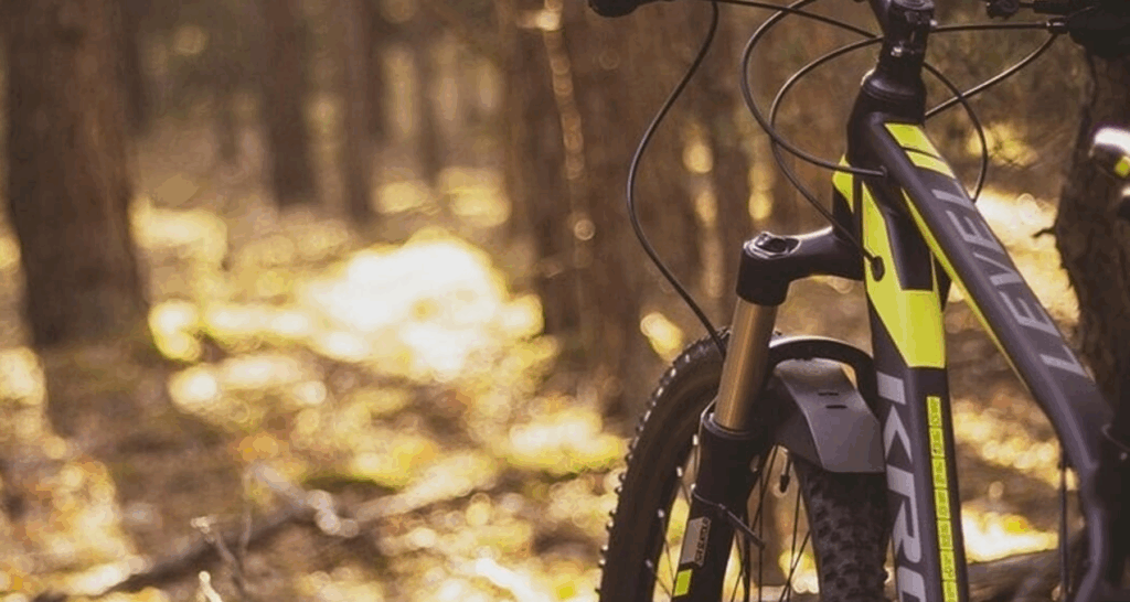 Allarme nel bosco: disperso un ciclista anziano, scattano le ricerche!